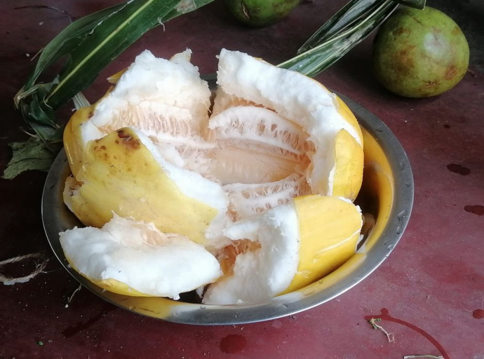 மட்டக்களப்பு மற்றும் அம்பாறை மாவட்டங்களில் அதிகரிக்கும் வெள்ளரிப்பழ விற்பனை 